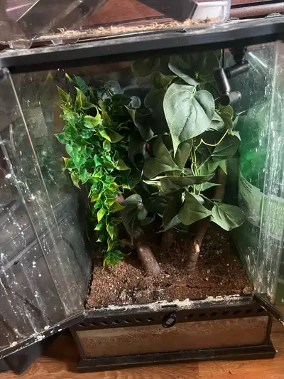 Empty terrarium Comes with the fake plants and dirt seen in photo as well as misting system Pickup i...