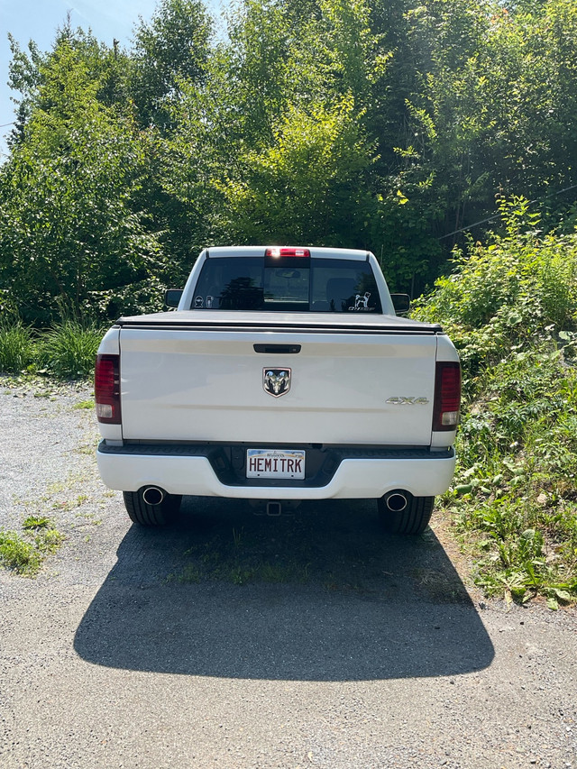 2017 Dodge Ram 1500 Sport Reg Cab 4x4 Shorty in Cars & Trucks in Saint John - Image 3