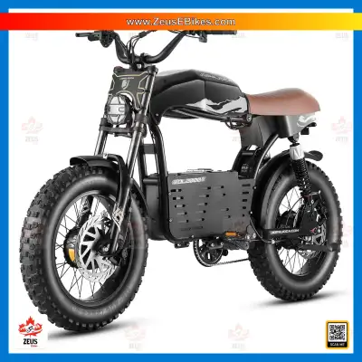 eBike NEW! The DL2000, 80km, 2x 65Nm Torque. ZeusEbikes.com, View more