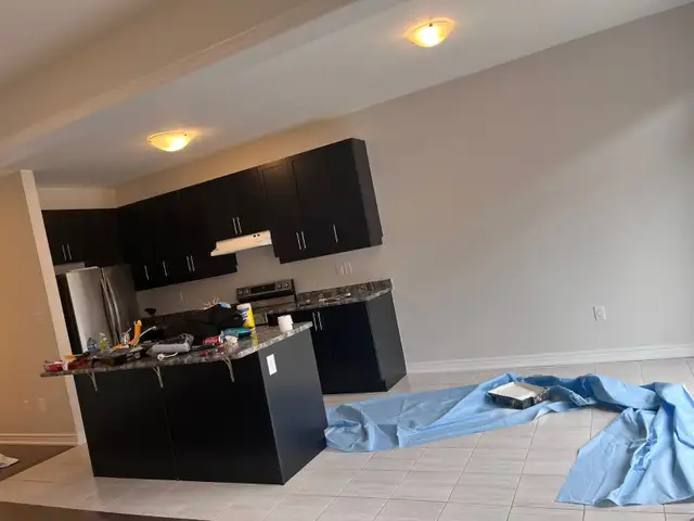 House painting  647-761-6175