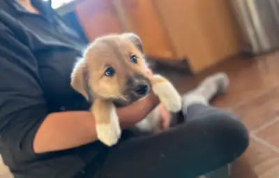 Little Beaws ❤️, View more