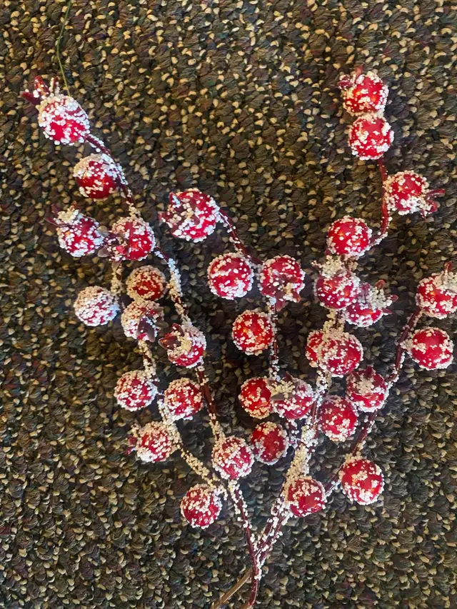 Frosted wired cranberries598239517134694401