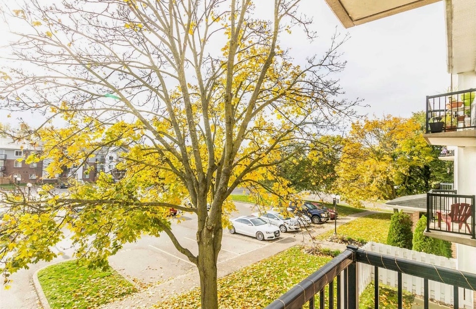 Newly Renovated 1 Bed, 1 Bath Condo for Lease 2