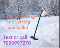 Snow shoveling and Salting
