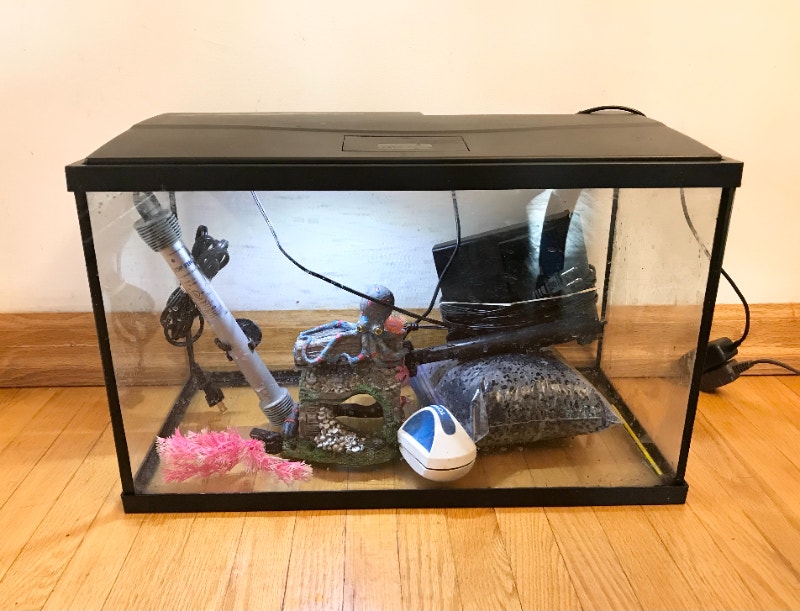 10 Gallon Fish Tank Full Setup Fish for Rehoming City of Toronto