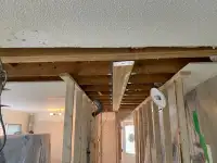 Load Bearing walls Removal 