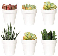 Youngever 10 Pack 3 Inch Mini Plastic Planters Indoor Flower Pla