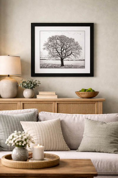 Framed Art of Shubie Tree (18" x 18"). Artist Robb Scott., View more