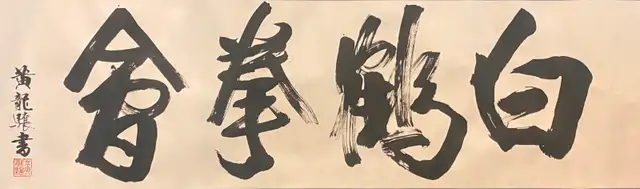 PAIN RELIEF | CHINESE  PLASTER THERAPY62863227375490124