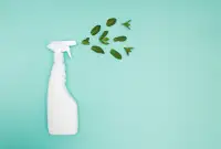 Chemical free cleaning