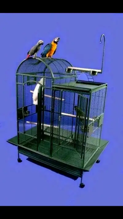 Parrot Rescue Services, View more