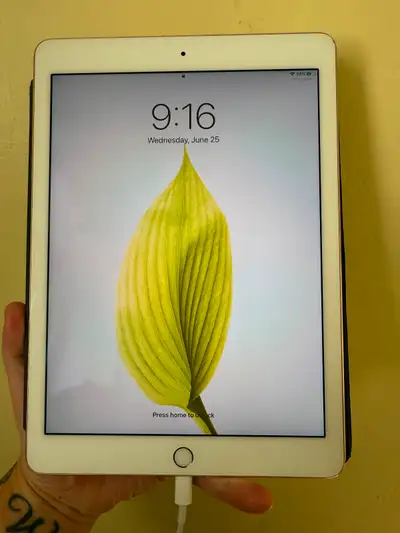 iPad Pro 32G 9.7” 1st Gen Rose Gold, View more