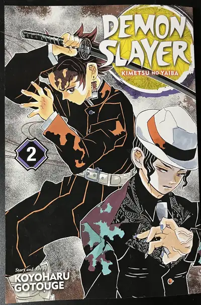 Demon Slayer Vol 2, View more