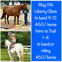 Liberty & Obstacle Clinic Day 