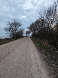 2.5 acres for sale Pelee island Ont 