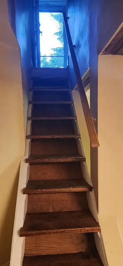Basement for Rent in Port Credit