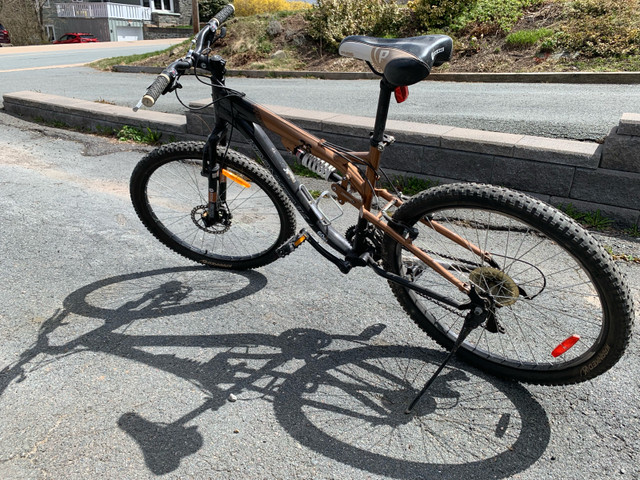 Mountain bike in Mountain in Dartmouth