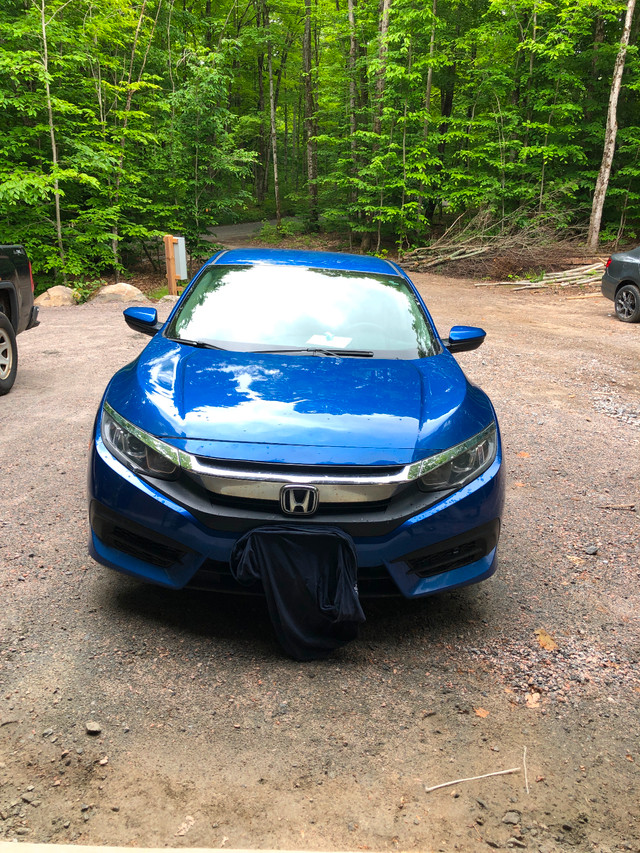 2017 Manual Honda Civic in Cars & Trucks in Muskoka - Image 2
