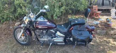 No tears in seat. Bike is in immaculate shape....1100 cc