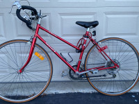 Le Mans 12 speed bicycle for sale