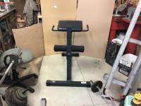 Ab and Tricep Stand