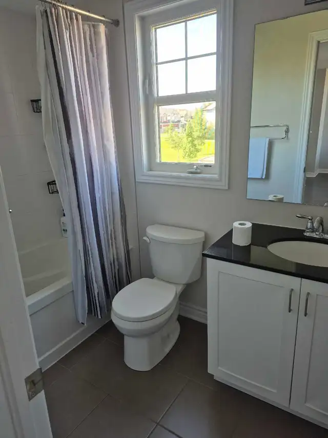 room for rent in Room Rentals & Roommates in Ottawa - Image 4
