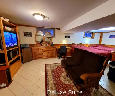 Beautiful quadruple family room on the lowest level of a 5-level executive luxury home. Ideal for a...