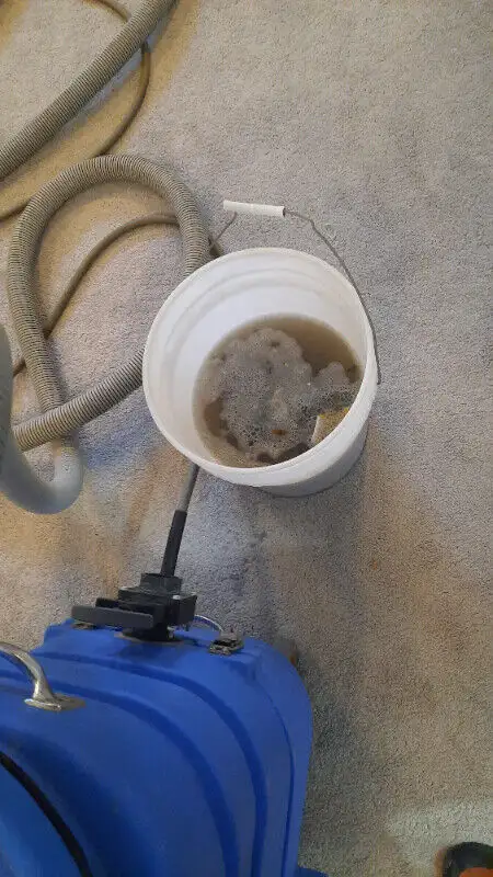 Mobile Interior Car Detailing: ☏437-215-9867 in Detailing & Cleaning in Mississauga / Peel Region - Image 11