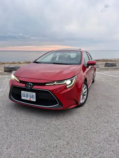 2020 Toyota Corolla XLE (full spec) 2nd owner Hail damage from snow (not too visible) No accident/ c...