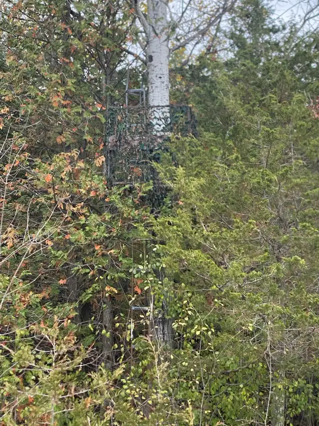 60 acre hunting retreat and cabin for rent  in Ontario in Canada - Image 4