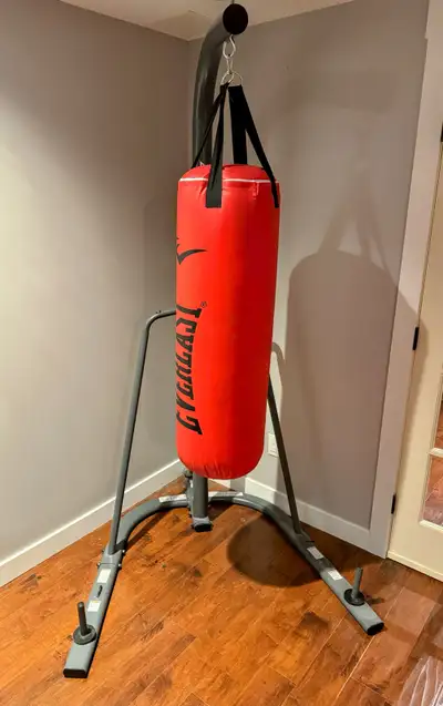 Everlast Heavy Punching Bag, View more