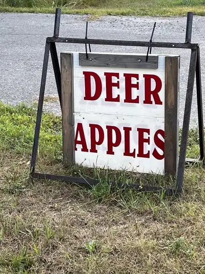 Deer apples  , View more