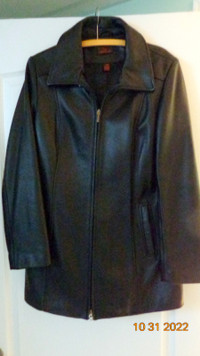 Danier Leather Coat (Ladies Size L)