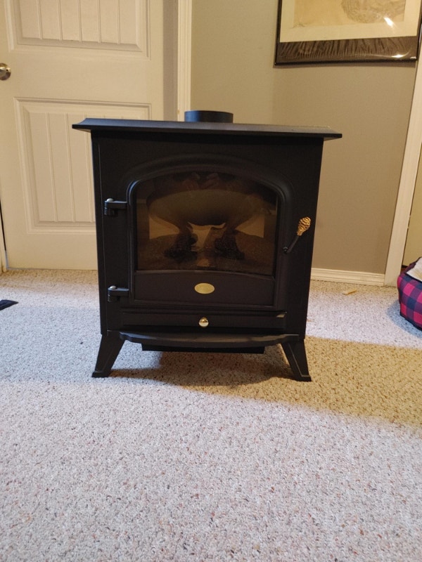 Free for Pickup Dimplex Electric Wood Stove/Fireplace Free Stuff