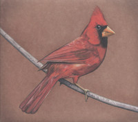 Alexisonfire - Old Crows/Young Cardinals CD