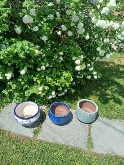3 Flower Pots, View more