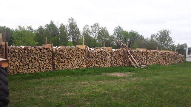 Hardwood firewood in Fireplace & Firewood in Ottawa