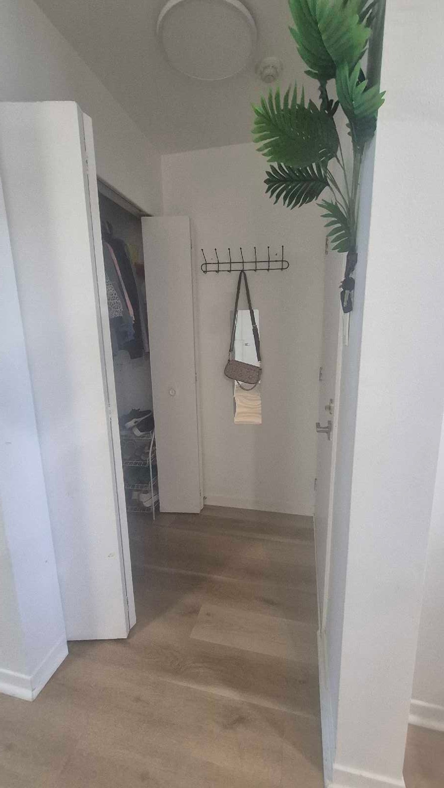 apparemment a louer — photo 3