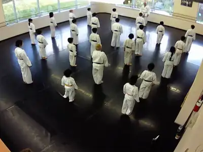 The space is suitable for Martial Arts, Yoga, Music, Drama, dance and other. Studio "A" 1200 sq ft $...