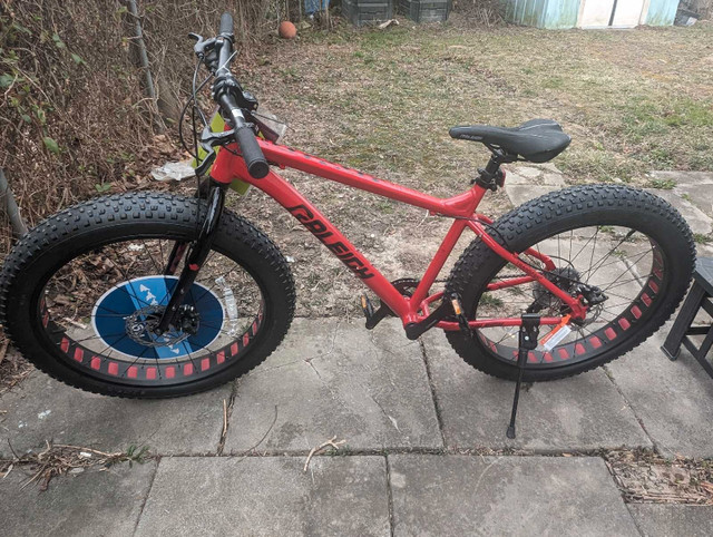 Brand new mountain bike .... 7 speed... Raleigh hard tail  in Mountain in St. Catharines