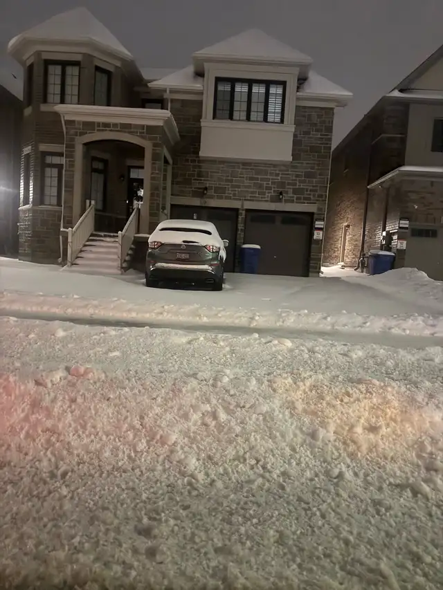 SNOW REMOVAL64993565534979120