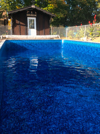 Swimming Pool Service/Liner Replacement