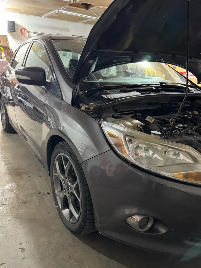 2013 Ford focus 460148016163727362