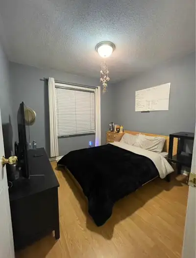 I am looking for a clean and quiet young working professional to take over my lease in a 3-bedroom t...