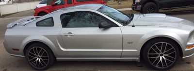2008 Mustang GT and set of brand new Cat skin full leather seats