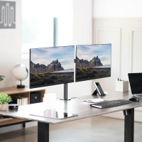 24" Dual Monitors with Adjust Desk Clamp Stand