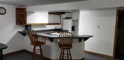 Upscale Open Concept, 12' Lunch Bar CounterTop, Gas Fire Place, Jenn Air Cook Top Grill Bbq down dra...