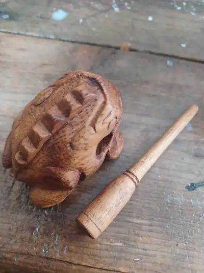 Cute little percussion frog