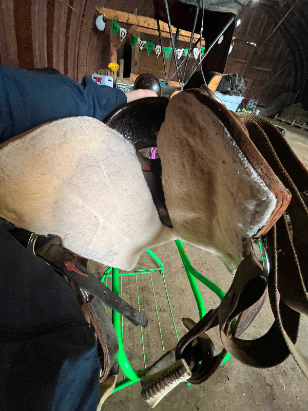 WESTERN RAWHIDE WINNIPEG CANADA Saddle in Equestrian & Livestock Accessories in Leamington - Image 4