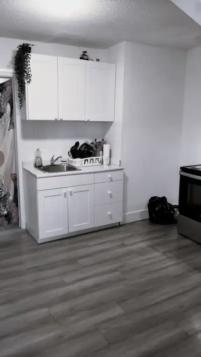 Spacious Top Floor 1-Bedroom + Den